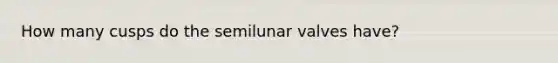 How many cusps do the semilunar valves have?