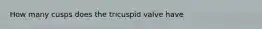 How many cusps does the tricuspid valve have