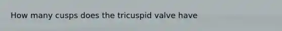 How many cusps does the tricuspid valve have