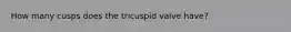 How many cusps does the tricuspid valve have?