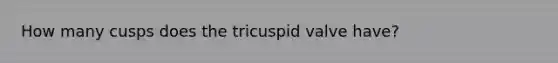 How many cusps does the tricuspid valve have?