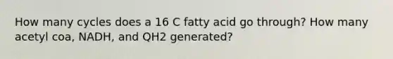 How many cycles does a 16 C fatty acid go through? How many acetyl coa, NADH, and QH2 generated?