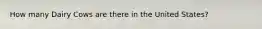 How many Dairy Cows are there in the United States?