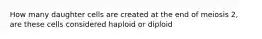 How many daughter cells are created at the end of meiosis 2, are these cells considered haploid or diploid