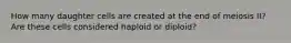 How many daughter cells are created at the end of meiosis II? Are these cells considered haploid or diploid?