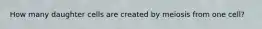 How many daughter cells are created by meiosis from one cell?