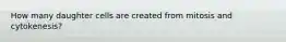 How many daughter cells are created from mitosis and cytokenesis?