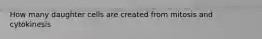 How many daughter cells are created from mitosis and cytokinesis