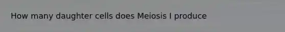 How many daughter cells does Meiosis I produce