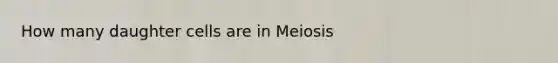 How many daughter cells are in Meiosis