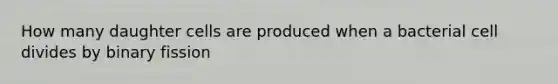 How many daughter cells are produced when a bacterial cell divides by binary fission