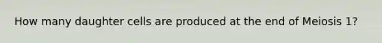 How many daughter cells are produced at the end of Meiosis 1?