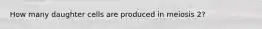 How many daughter cells are produced in meiosis 2?