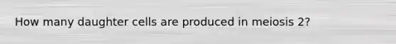 How many daughter cells are produced in meiosis 2?