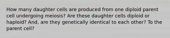 How many daughter cells are produced from one diploid parent cell undergoing meiosis? Are these daughter cells diploid or haploid? And, are they genetically identical to each other? To the parent cell?