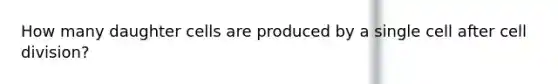 How many daughter cells are produced by a single cell after cell division?