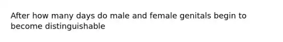 After how many days do male and female genitals begin to become distinguishable