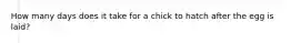 How many days does it take for a chick to hatch after the egg is laid?