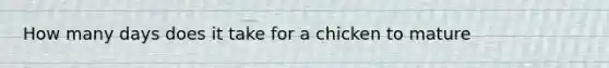 How many days does it take for a chicken to mature