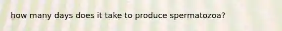 how many days does it take to produce spermatozoa?