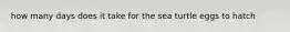 how many days does it take for the sea turtle eggs to hatch