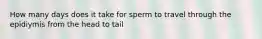 How many days does it take for sperm to travel through the epidiymis from the head to tail