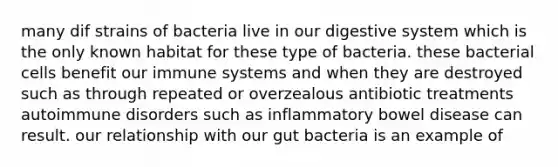 many dif strains of bacteria live in our digestive system which is the only known habitat for these type of bacteria. these bacterial cells benefit our immune systems and when they are destroyed such as through repeated or overzealous antibiotic treatments autoimmune disorders such as inflammatory bowel disease can result. our relationship with our gut bacteria is an example of