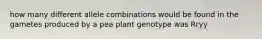 how many different allele combinations would be found in the gametes produced by a pea plant genotype was Rryy