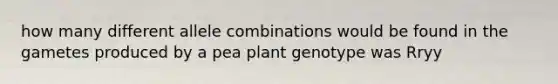 how many different allele combinations would be found in the gametes produced by a pea plant genotype was Rryy