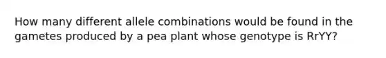 How many different allele combinations would be found in the gametes produced by a pea plant whose genotype is RrYY?