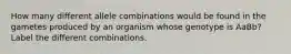 How many different allele combinations would be found in the gametes produced by an organism whose genotype is AaBb? Label the different combinations.