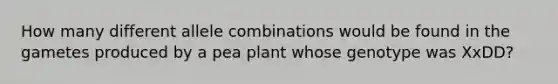 How many different allele combinations would be found in the gametes produced by a pea plant whose genotype was XxDD?