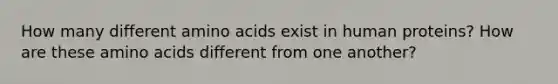 How many different amino acids exist in human proteins? How are these amino acids different from one another?