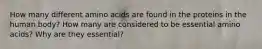 How many different amino acids are found in the proteins in the human body? How many are considered to be essential amino acids? Why are they essential?