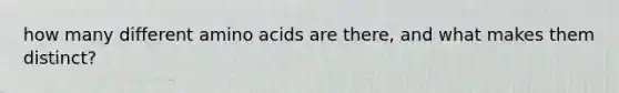 how many different amino acids are there, and what makes them distinct?