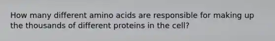 How many different amino acids are responsible for making up the thousands of different proteins in the cell?