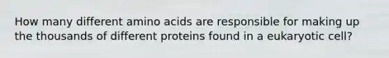 How many different amino acids are responsible for making up the thousands of different proteins found in a eukaryotic cell?