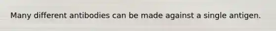Many different antibodies can be made against a single antigen.