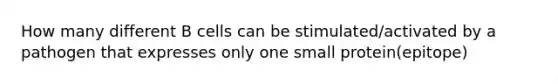 How many different B cells can be stimulated/activated by a pathogen that expresses only one small protein(epitope)