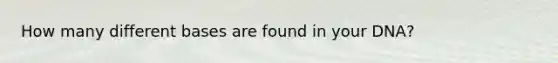 How many different bases are found in your DNA?