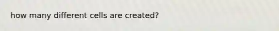 how many different cells are created?