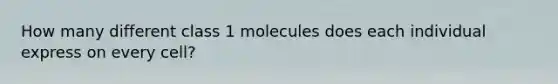 How many different class 1 molecules does each individual express on every cell?