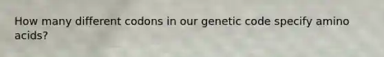 How many different codons in our genetic code specify amino acids?​