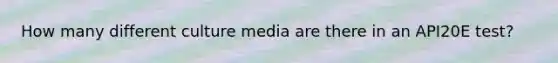 How many different culture media are there in an API20E test?