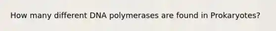 How many different DNA polymerases are found in Prokaryotes?