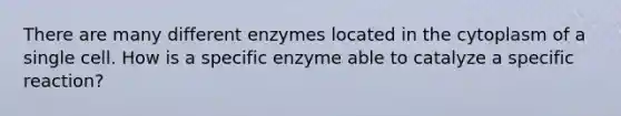 There are many different enzymes located in the cytoplasm of a single cell. How is a specific enzyme able to catalyze a specific reaction?