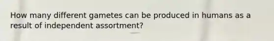 How many different gametes can be produced in humans as a result of independent assortment?