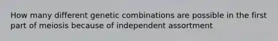 How many different genetic combinations are possible in the first part of meiosis because of independent assortment