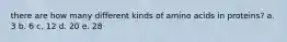 there are how many different kinds of amino acids in proteins? a. 3 b. 6 c. 12 d. 20 e. 28