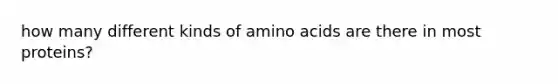 how many different kinds of amino acids are there in most proteins?